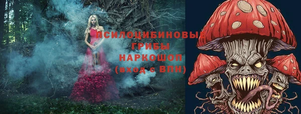 гидра Верхнеуральск