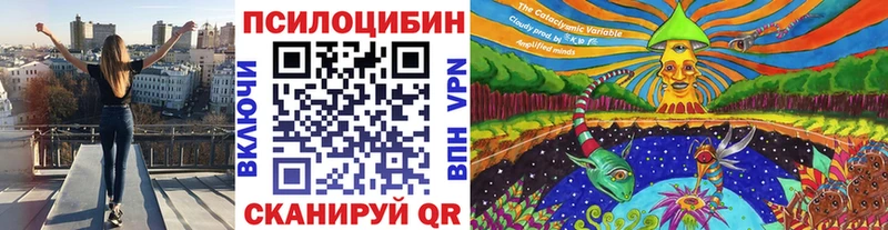 мега онион  Навашино  Псилоцибиновые грибы GOLDEN TEACHER 